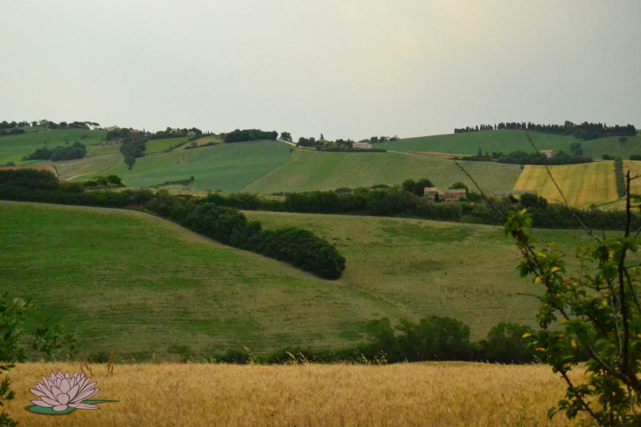 B&B Le Tamerici San Giorgio di Pesaro Exteriör bild